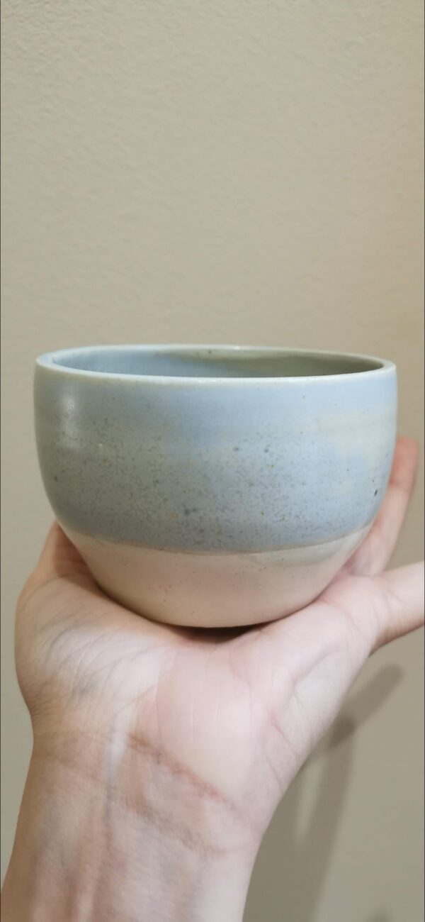 Vaso lunar